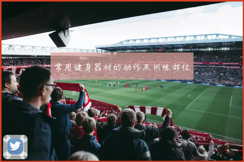 常用健身器材的动作及训练部位
