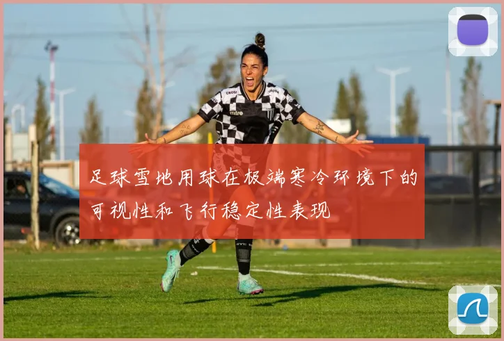 足球雪地用球在极端寒冷环境下的可视性和飞行稳定性表现